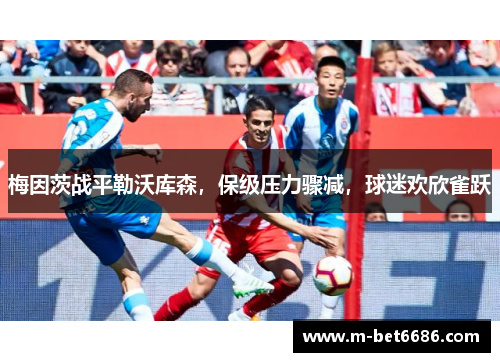梅因茨战平勒沃库森，保级压力骤减，球迷欢欣雀跃